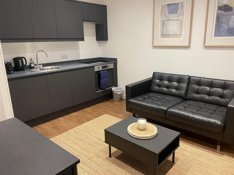 Kitchen or kitchenette, Living room, Seating area, stove