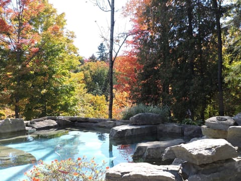 Hot Spring Bath, Autumn
