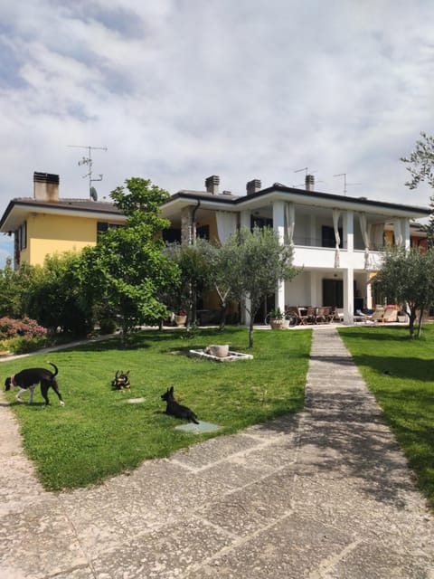 Property building, Pets