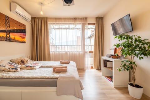 TV and multimedia, Bedroom, air conditioner