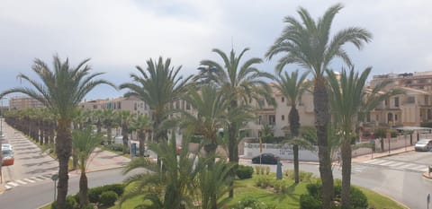 City view, Street view