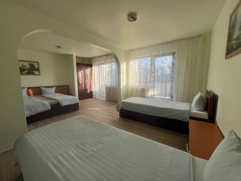 Hotel Le Baron Hotel in Timisoara