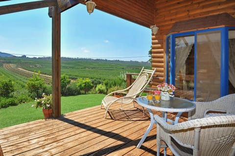 Garden, Balcony/Terrace