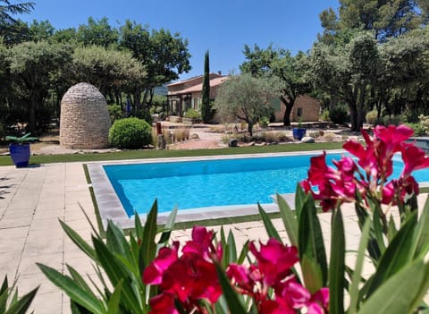 Garden, Swimming pool