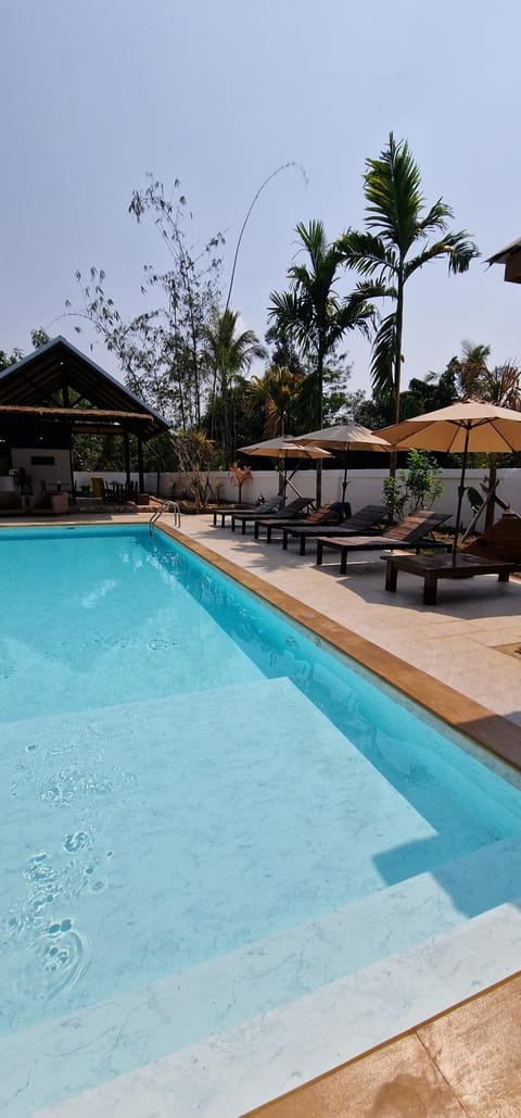 Day, Pool view, Swimming pool, Swimming pool, sunbed