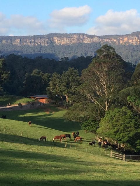 Property building, Animals, On site, Mountain view, Sunset