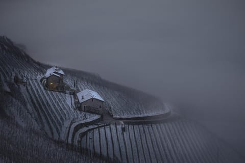 Agriturismo Coltiviamo Sogni Berry & Wine B&B Farm Stay in Province of Brescia