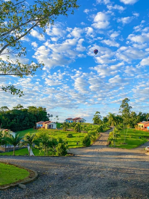 Natural landscape, Garden view