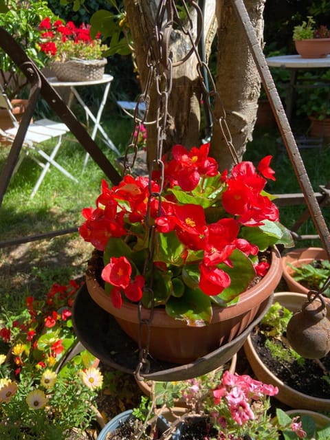 Tuscany Location Apartment in Umbria