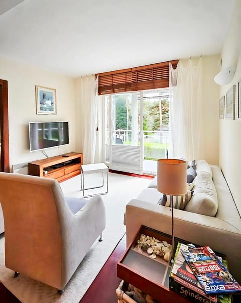 TV and multimedia, View (from property/room), Living room, Photo of the whole room, Seating area, furniture