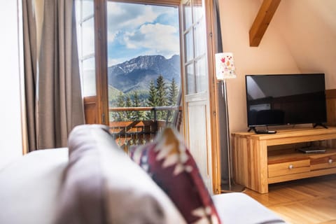 TV and multimedia, Living room, Mountain view