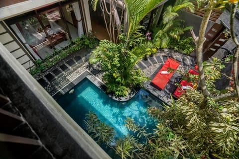 Garden, Bathroom, Balcony/Terrace, Bedroom, Pool view, Swimming pool, Swimming pool