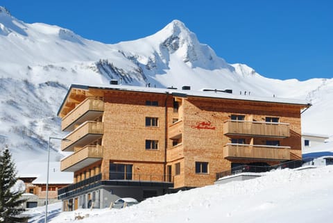 Property building, Winter
