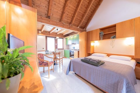 Bed, TV and multimedia, Balcony/Terrace, Photo of the whole room, wardrobe