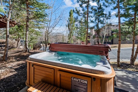 Silver Star #41DX - 4 Bed Cottage Spa House in Park City