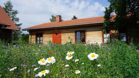 Property building, Spring, Garden, Garden view