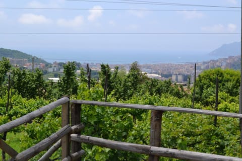 b&b Green Valley Bed and Breakfast in Salerno