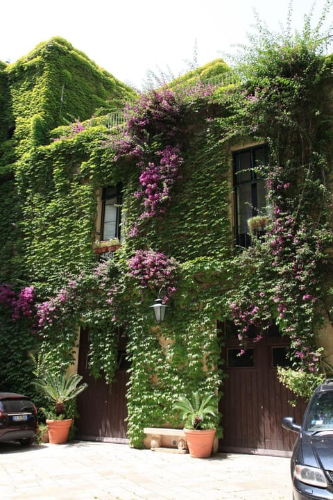 Patio, Facade/entrance, Spring, Day, Decorative detail