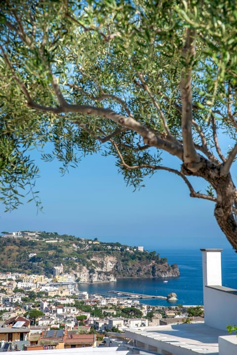 Hotel Bel Tramonto Hotel in Casamicciola Terme