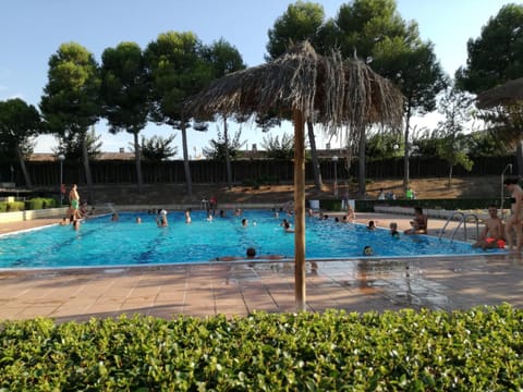 Swimming pool, Swimming pool