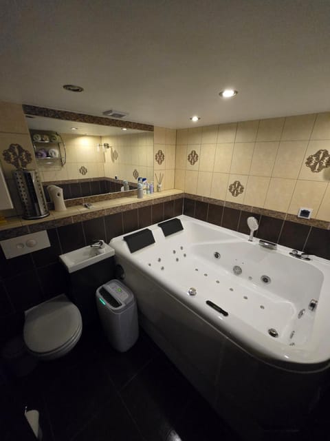 Old Wine House Apartment in Klaipėda