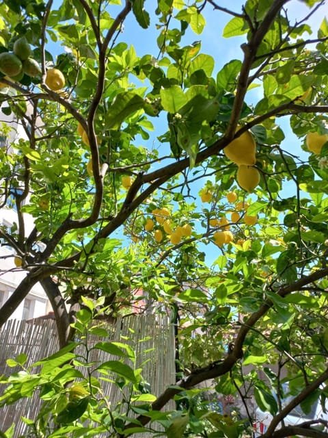 Villa François Villa in Torre Annunziata