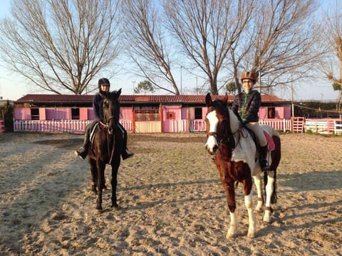 Off site, Horse-riding, Other