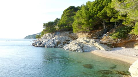 Nearby landmark, Natural landscape, Beach