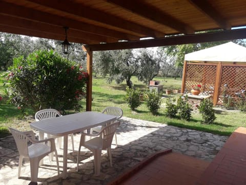 Patio, Garden, Garden view