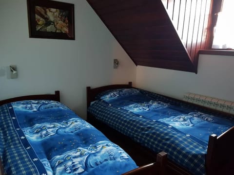 Planinski Biser House in Serbia