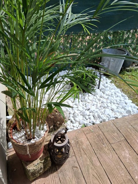 Clos des lys Apartment in Vosges