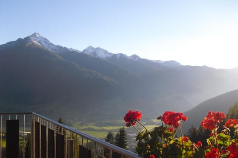 Appartements Martha Apartment in Salzburgerland