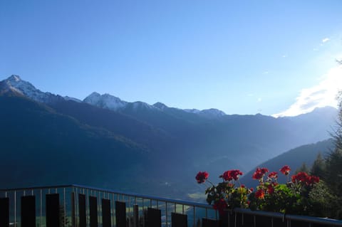 Appartements Martha Apartment in Salzburgerland