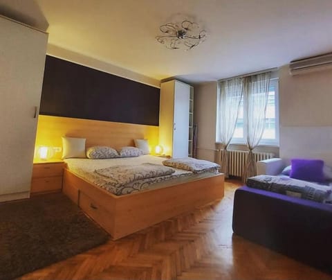 Central apartment with garage Apartment in Novi Sad