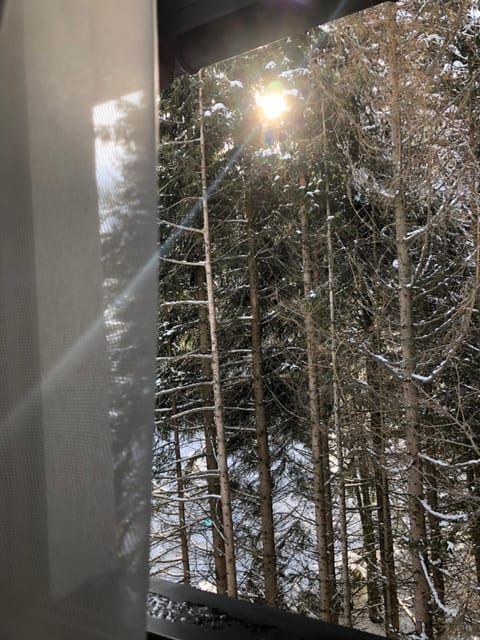 Day, Natural landscape, Winter