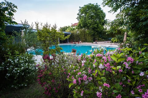 Garden, Swimming pool, Swimming pool, Open Air Bath