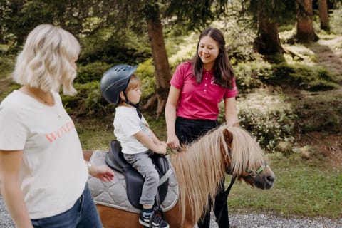 Summer, Animals, Autumn, On site, Area and facilities