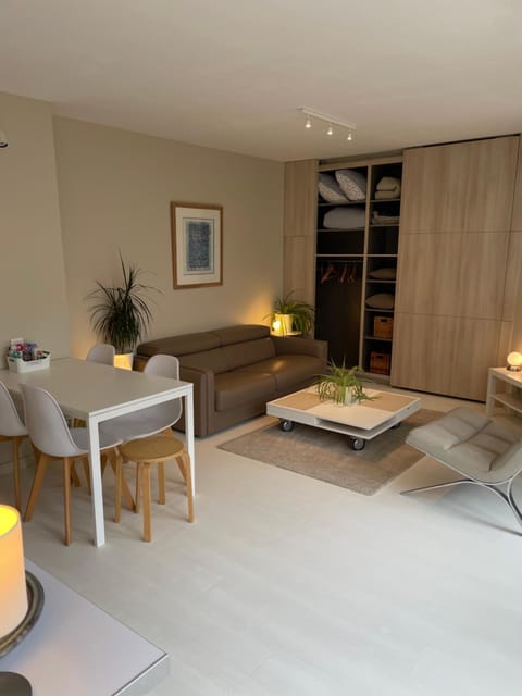 Appartement ,superbe terrasse 40m2 , vieux Lille , centre ville Apartment in Lille