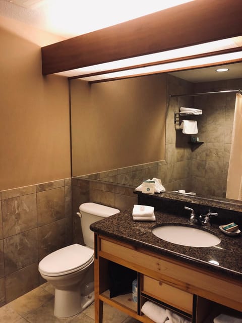 Toilet, Bathroom, towels