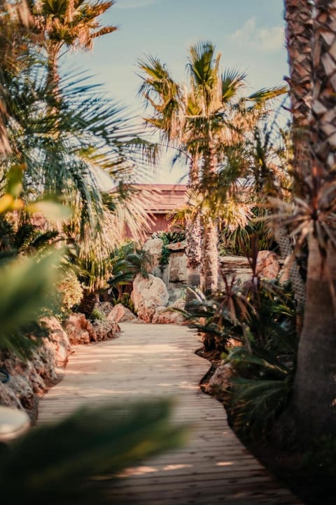 Natural landscape, Garden