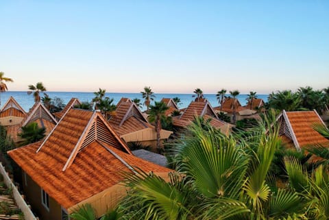 Natural landscape, Beach, Sea view