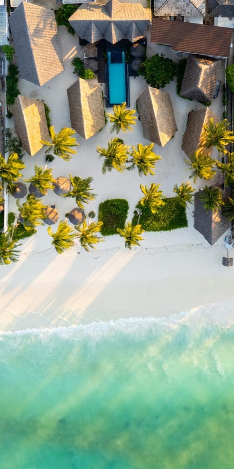 Bird's eye view, Beach, Beach, Swimming pool, Swimming pool