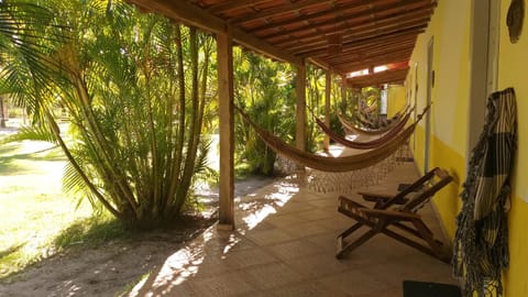 Patio, Garden, Balcony/Terrace