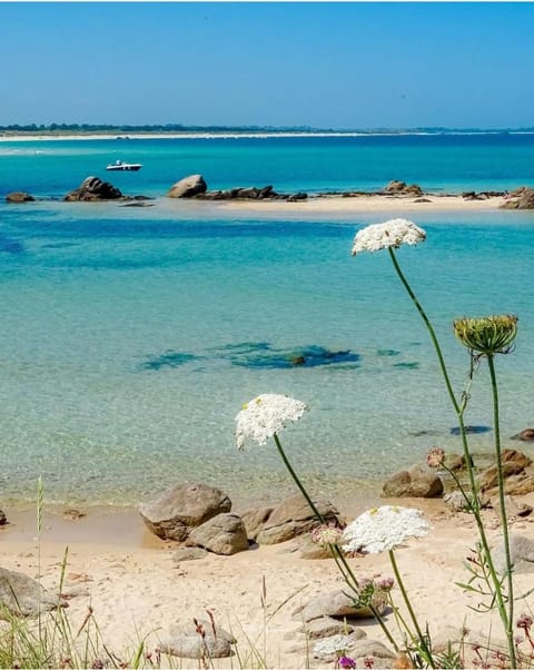 Les chambres de l'Atelier Bed and Breakfast in Pont-Aven