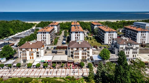 Bird's eye view, Location