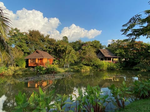 Property building, View (from property/room), Garden view, VIP