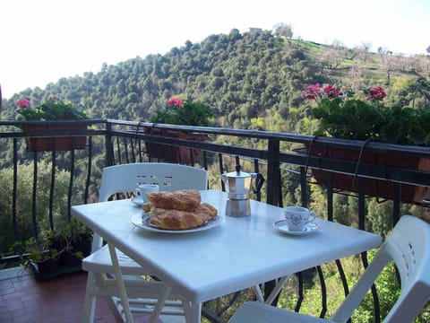 Spring, Natural landscape, Balcony/Terrace, Mountain view