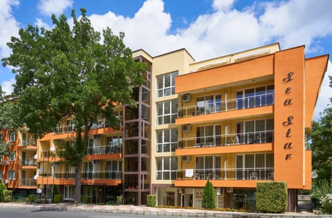 Property building, Day