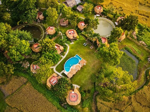 Spring, Day, Natural landscape, Bird's eye view, Garden, Garden view, Pool view, Swimming pool, sunbed