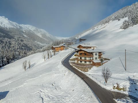 Winter